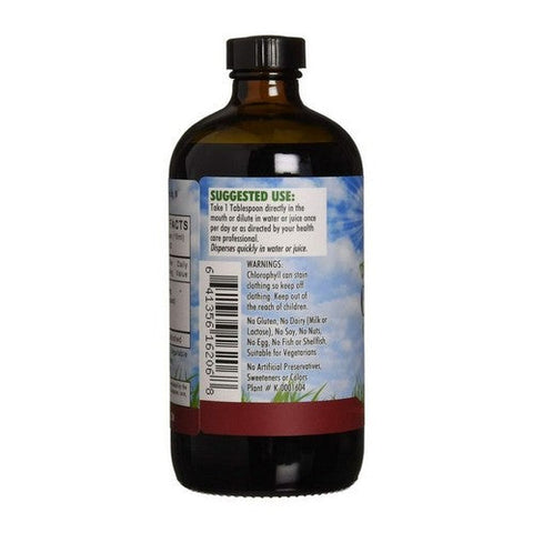 L. A .Naturals, Chlorophyll with Spearmint, 100 mg, 16 Oz L. A .Naturals
