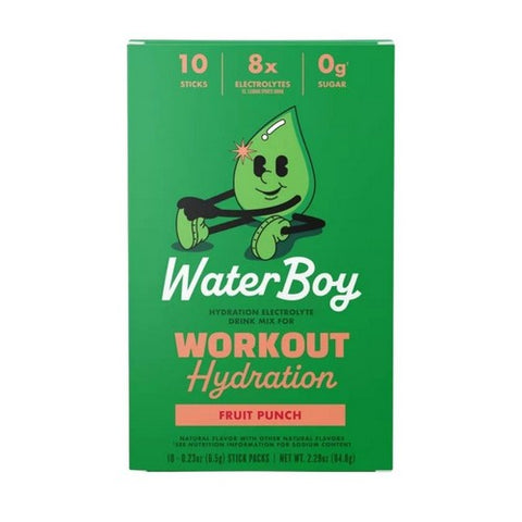 Workout Hydration Fruit Punch 65 Grams by WaterBoy